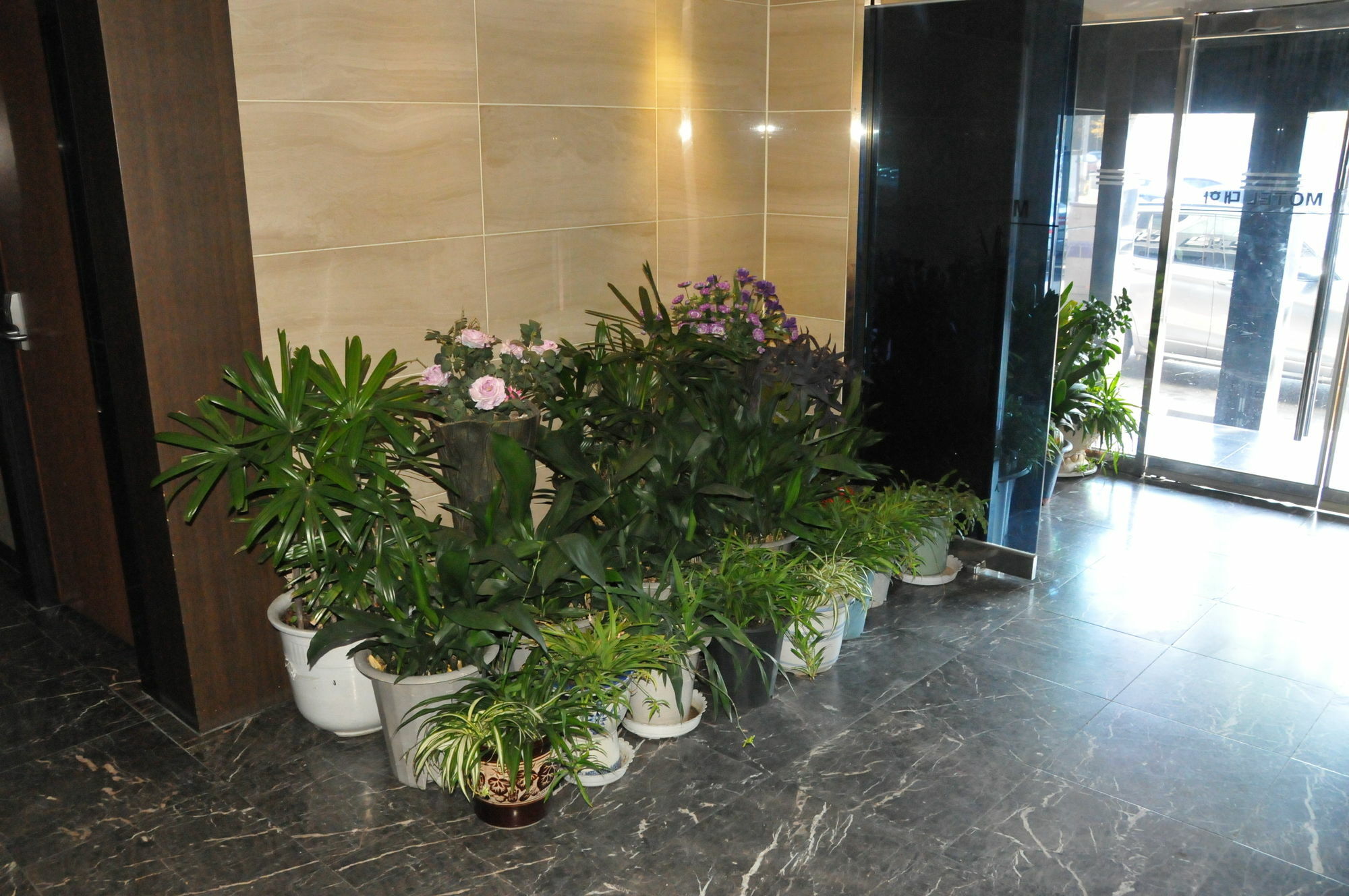 Daeha Hotel Seoul